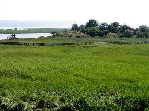 oasi Caneo a punta Sdobba di Fossalon di Grado