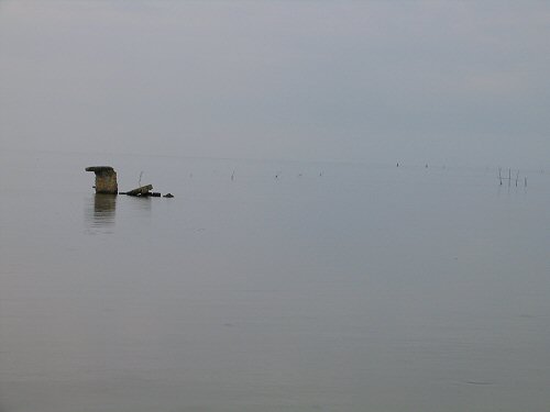 oasi Caneo a punta Sdobba di Fossalon di Grado