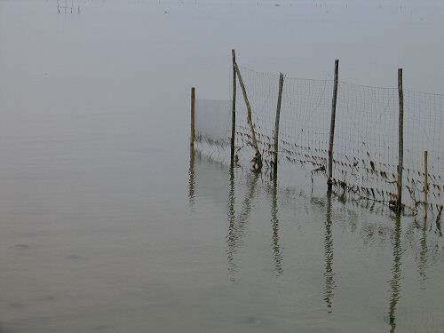 oasi Caneo a punta Sdobba di Fossalon di Grado