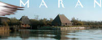 Maran