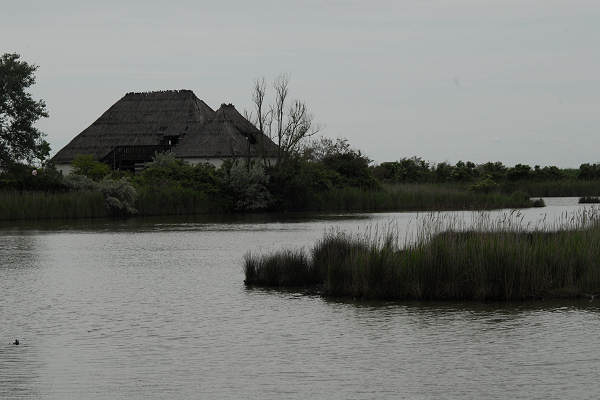 Oasi naturalistica Valle Canal Novo a Marano Lagunare