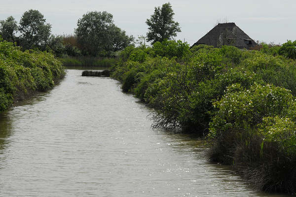 Oasi naturalistica Valle Canal Novo a Marano Lagunare