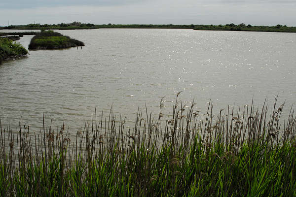 Oasi naturalistica Valle Canal Novo a Marano Lagunare