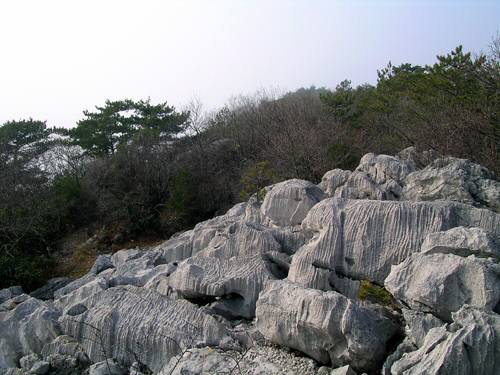 Sentiero Rilke - Duino (Trieste)