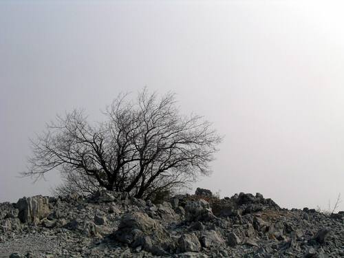 Sentiero Rilke - Duino (Trieste)