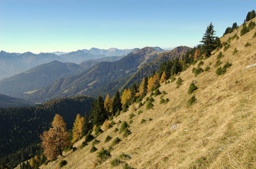Alpi Carniche salendo al monte Ostering