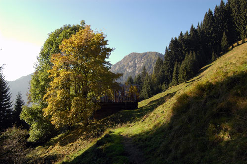 sul sentiero per il rifugio Nordio Deffar