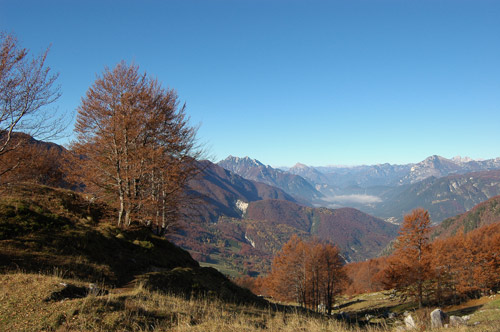 salendo al bivacco Manzano al monte Guarda
