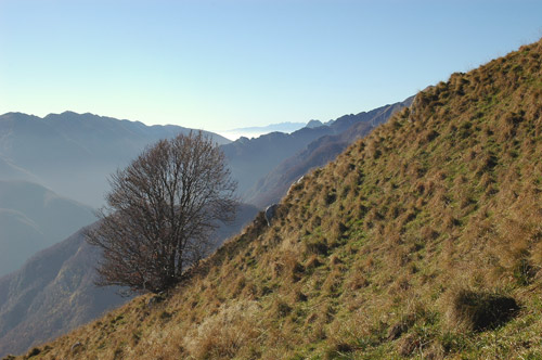 valle di Uccea