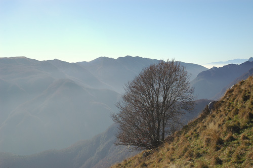 valle di Uccea