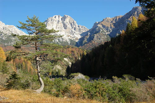 il monte Duranno dalla val Zemola