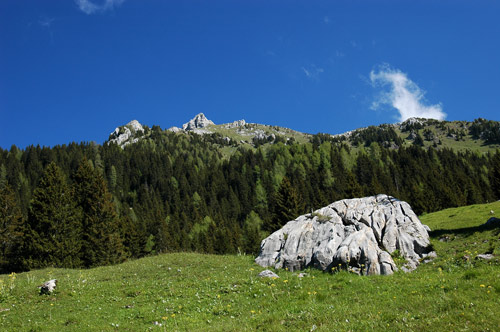 salendo verso casera Bordaglia di Sotto