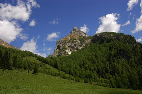 prati a casera Sissnis di Sotto