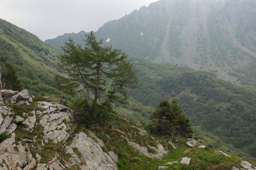 nei pressi del rifugio Casera Pramosio