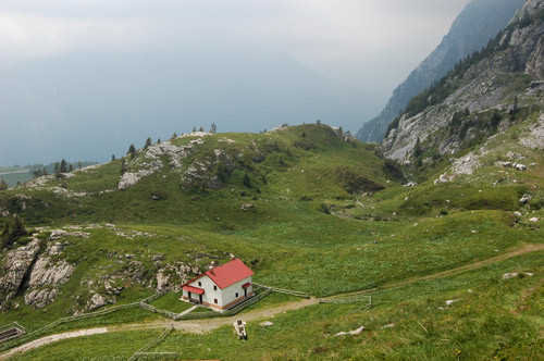 nei pressi del rifugio Casera Pramosio
