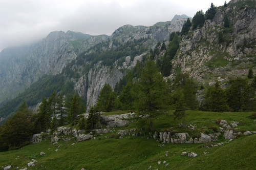 nei pressi del rifugio Casera Pramosio