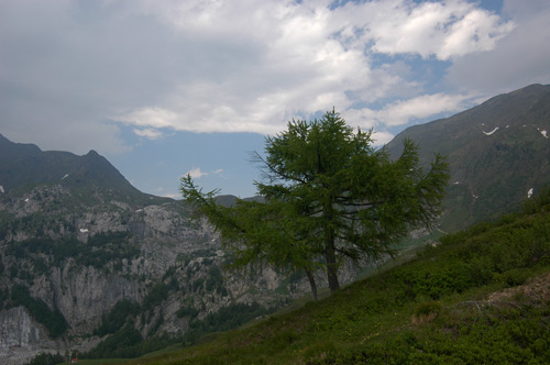nei pressi del rifugio Casera Pramosio