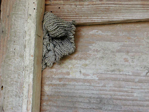 l'antico paese di Casso nella valle del Vajont - Erto e Casso