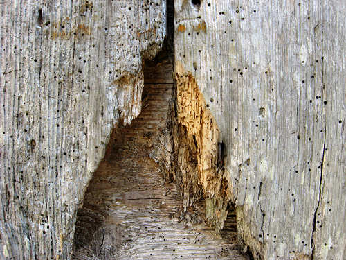 l'antico paese di Casso nella valle del Vajont - Erto e Casso