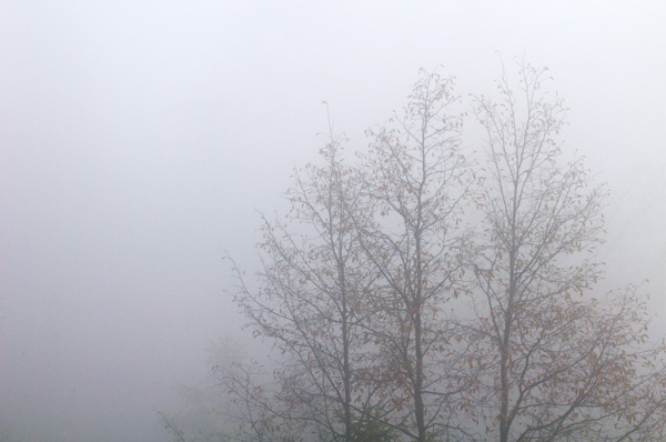 Erto e la valle del Vajont