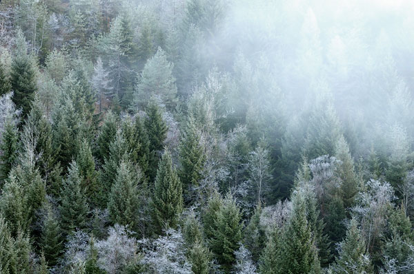 Erto e la valle del Vajont