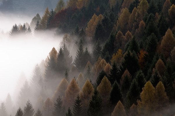 Erto e la valle del Vajont