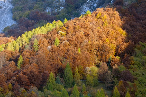 Erto e la valle del Vajont