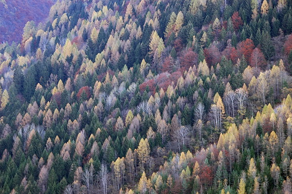 autunno a Erto e nella valle del Vajont