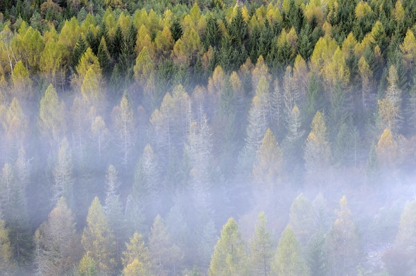 autunno a Erto e nella valle del Vajont