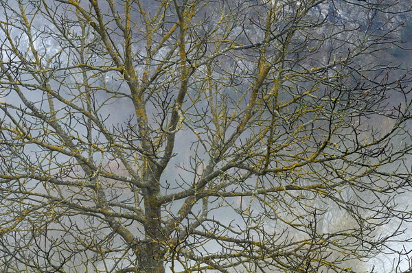 autunno a Erto e nella valle del Vajont