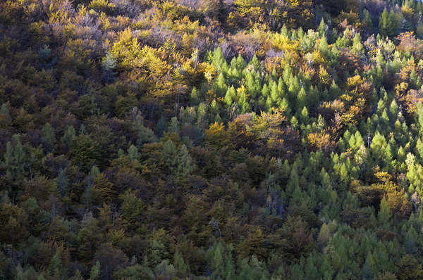 autunno a Erto e nella valle del Vajont