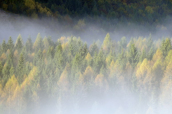 autunno a Erto e nella valle del Vajont