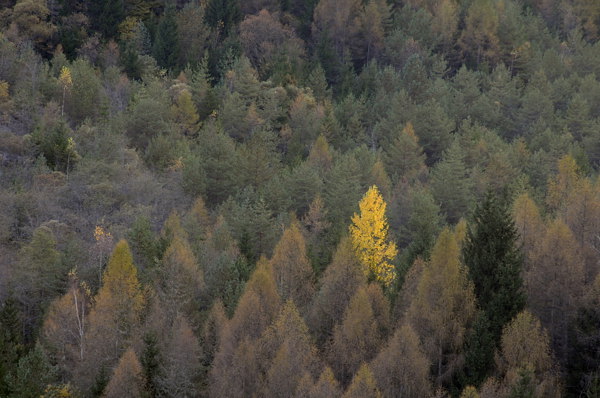 autunno a Erto e nella valle del Vajont
