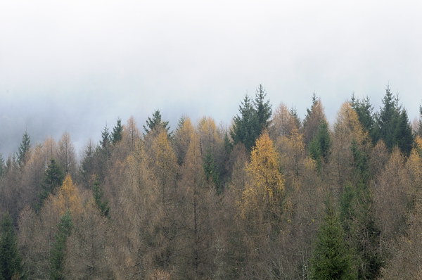 autunno a Erto e nella valle del Vajont