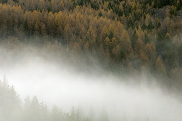 autunno a Erto e nella valle del Vajont