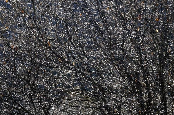 autunno a Erto e nella valle del Vajont