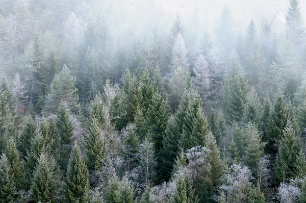 Erto e la valle del Vajont