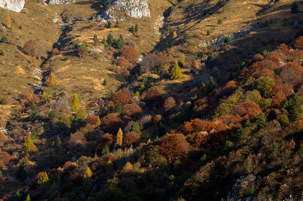 Erto e la valle del Vajont