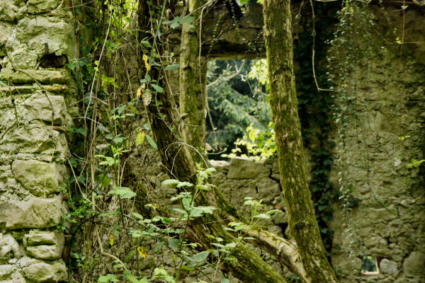 Campo f.lla SanDaniele ponte La Stua Colmirano, Alano di Piave monte Grappa