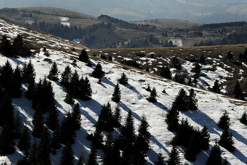 Asolone Col della Berretta, monte Grappa