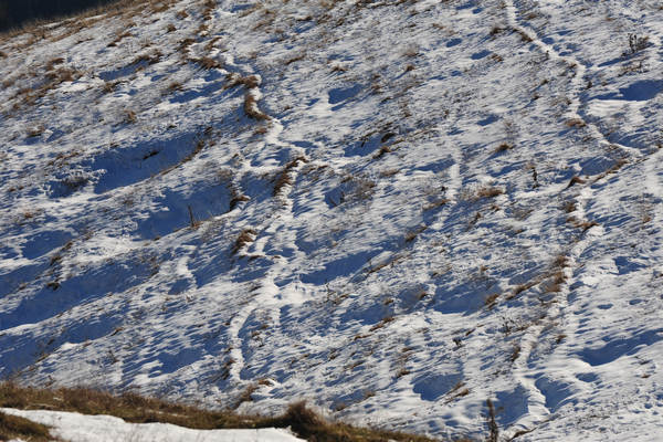monte Asolone, Col della Beretta, Cima Grappa