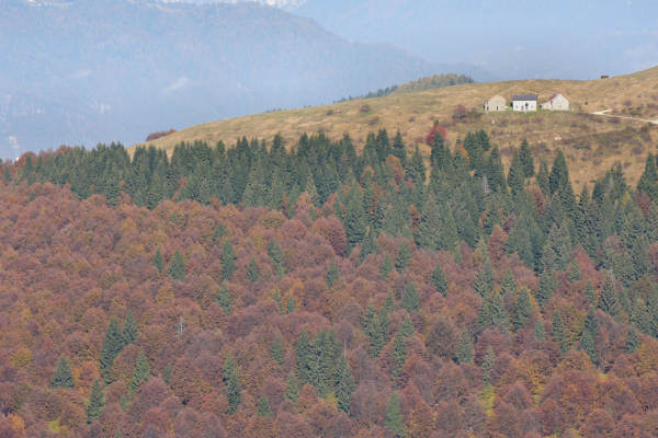 Magnola Finestron Asolone