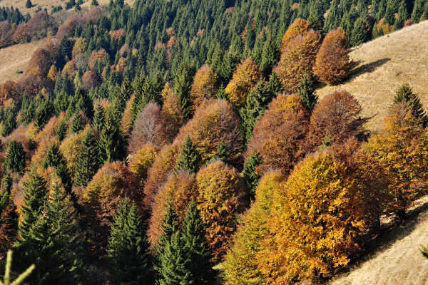 monte Asolone, Val dea Giara