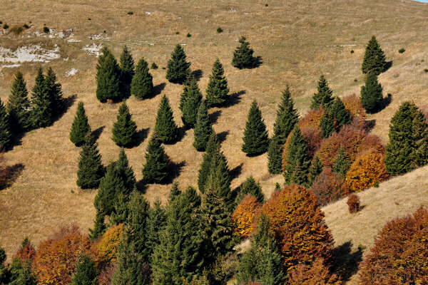 monte Asolone, Val dea Giara