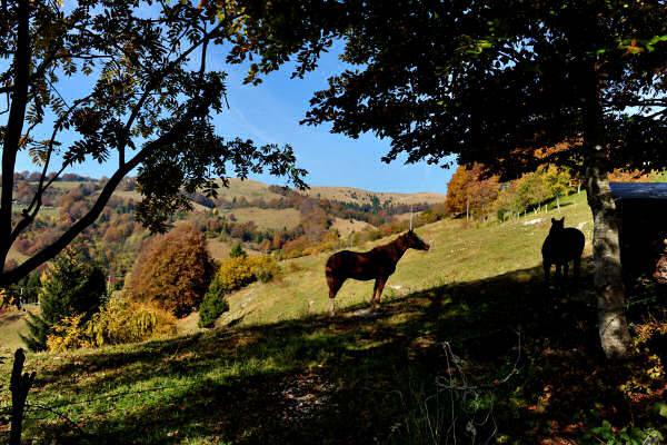 monte Asolone, Val dea Giara