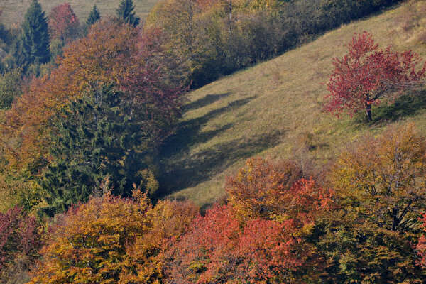 monte Asolone, Val dea Giara