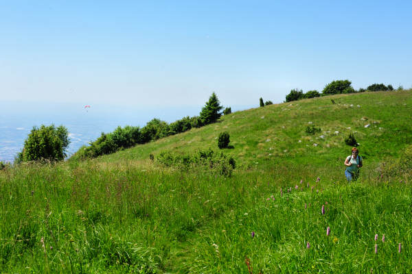 Campo Croce, Camol, Legnarola, val Poise