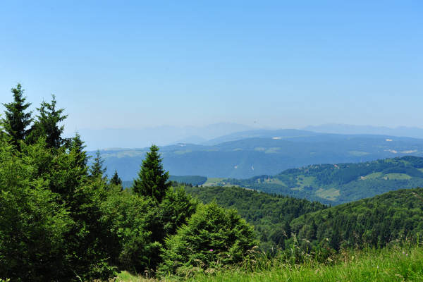 Campo Croce, Camol, Legnarola, val Poise