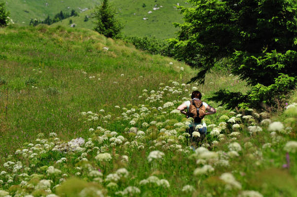 Campo Croce, Camol, Legnarola, val Poise