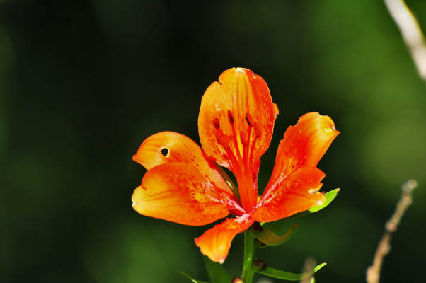 Campo Croce, Camol, Legnarola, val Poise